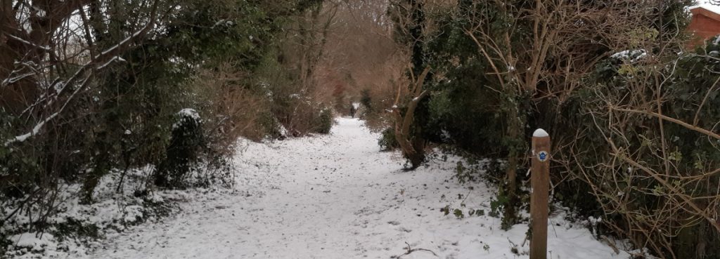 snow Fall